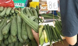 广东吃的瓜菜,广东特色蔬菜的味蕾之旅