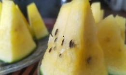 清溟吃瓜密码,探寻娱乐圈幕后真相