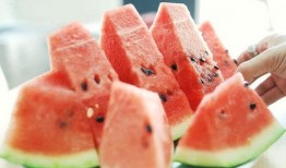 吃瓜长知识捷克