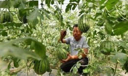 吃瓜庞庞,揭秘娱乐圈背后的那些事儿