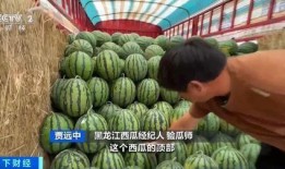 南理工吃瓜,一场“吃瓜”事件背后的真相揭秘