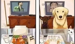 吃瓜视频白眼狼