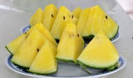 23年吃的瓜,年度热点事件回顾