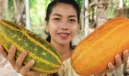 阿杨吃瓜记,揭秘娱乐圈幕后故事