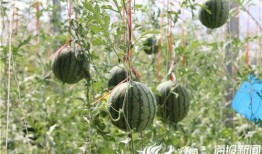 广德吃瓜事件视频最新,视频揭露惊人真相，网友热议不断