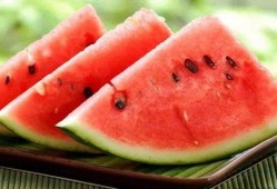 广东带你吃瓜,广东带你领略地道的吃瓜之旅