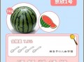 每日吃瓜指南,揭秘娱乐圈新鲜事，轻松掌握热点动态