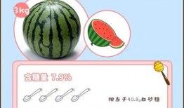 每日吃瓜指南,揭秘娱乐圈新鲜事，轻松掌握热点动态