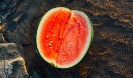 榕树下吃瓜,揭秘民间趣事