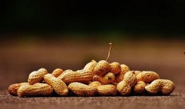 本命年梦到吃瓜