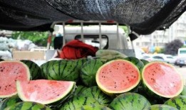 中国各地吃瓜速度,地域特色与生活节奏的缩影