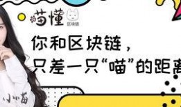 吃瓜二三事小说,揭秘娱乐圈背后的秘密与真相