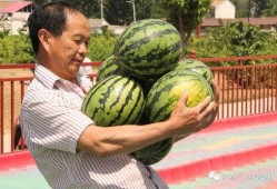 大河吃瓜,探寻民间美食的传承与创新