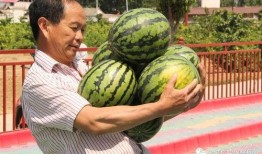 大河吃瓜,探寻民间美食的传承与创新