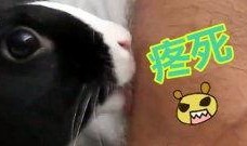 看见老弟吃瓜,揭秘娱乐圈幕后真相