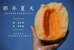 吃甜度最高的瓜