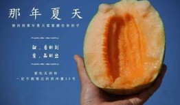 吃甜度最高的瓜