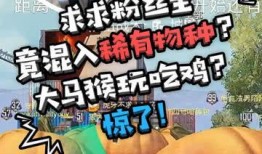 大马猴电台吃瓜,揭秘娱乐圈吃瓜背后的真相