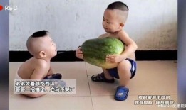 吃瓜吃到亲哥,一场家庭闹剧的揭秘之旅
