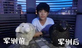吃瓜沸羊羊,揭秘娱乐圈的“羊羊”效应
