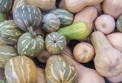 海南女吃瓜,揭秘热带风情下的闲聊文化