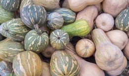 海南女吃瓜,揭秘热带风情下的闲聊文化