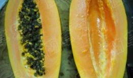 柠兮吃瓜,揭秘娱乐圈那些不为人知的幕后故事