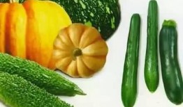 吃pi是什么瓜,揭秘神秘瓜类美食传奇