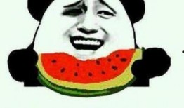 小嘟嘟吃瓜群众,揭秘娱乐圈幕后故事