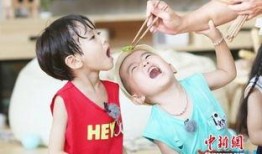 小手牵小狗吃瓜,欢乐吃瓜时光