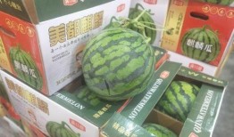 温州时刻吃瓜,瓜果飘香，品味生活