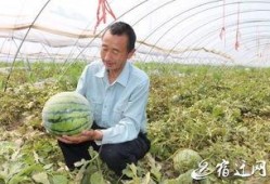 瓜哥吃瓜发高烧,揭秘网络热点的背后真相