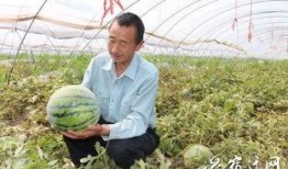 瓜哥吃瓜发高烧,揭秘网络热点的背后真相