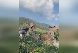 缅甸部队吃瓜视频