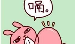 每日聪慧吃瓜山东话