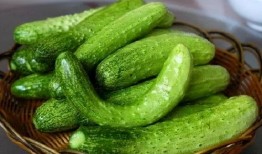 陈腾跃吃瓜,揭秘娱乐圈的“瓜田”风云