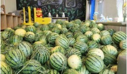 枫起南粤吃瓜,吃瓜群众的热议焦点