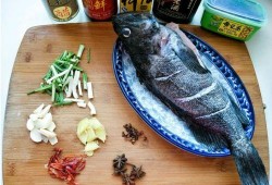 瓜哥吃瓜乌鱼是哪一集,揭秘热门剧集背后的美食诱惑