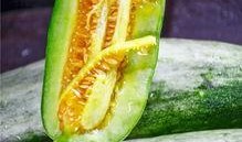 梵梵吃瓜网红,揭秘网红背后的瓜田生活