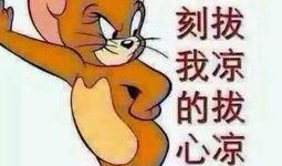 吃瓜群众情侣照片,吃瓜群众情侣的甜蜜定格