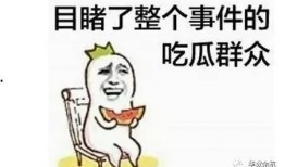 愚昧的吃瓜群众,揭秘愚昧吃瓜群众的狂欢世界