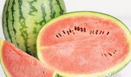 拉肚子可以吃瓜吗