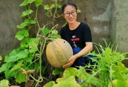 农村吃瓜的,吃瓜乐趣无限