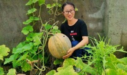 农村吃瓜的,吃瓜乐趣无限