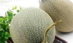 一次吃半个哈密瓜