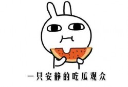 吃瓜事件洗白,从吃瓜事件看公众舆论的洗白力量