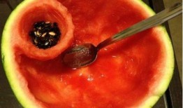 吃瓜不给勺,吃瓜群众如何不给勺，轻松看透明星幕后