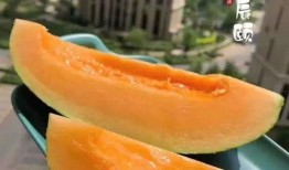 吃瓜小蜜蜜,揭秘娱乐圈那些不为人知的幕后故事