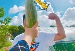 吃瓜吃到饱,从吃瓜吃到饱的欢乐之旅