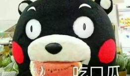 吃瓜吃的开心怎么形容,揭秘吃瓜群众的快乐源泉